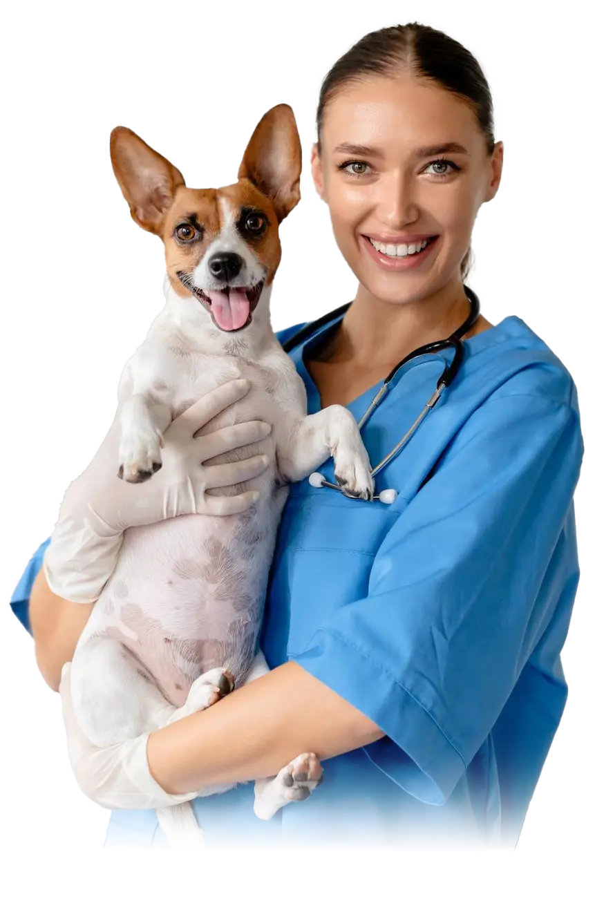 Veterinario con una mascota en consulta